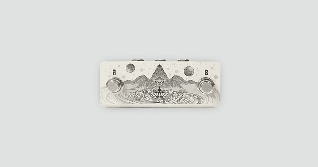 Animus Dual Footswitch